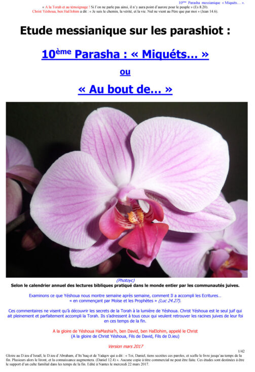 Étude sur la Parasha N°10 : Miquéts - Au bout de...