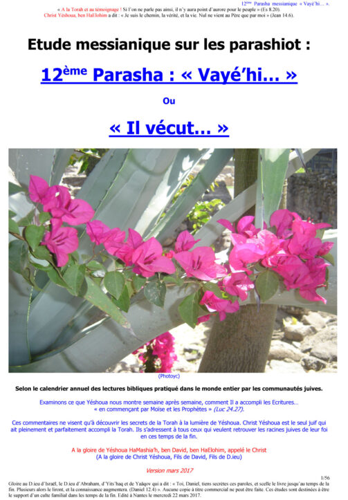 Étude sur la Parasha N°12 : Vayé'hi - Il Vécut - Calendrier Bible hébraïque