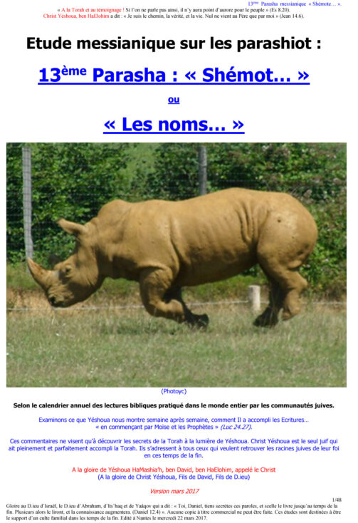 Étude sur la Parasha N°13 : Shémot – Les Noms