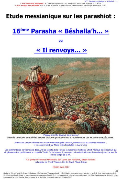 Étude sur la Parasha N°16 : Béshalla'h - Il Renvoya
