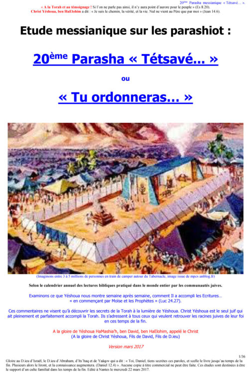 Étude sur la Parasha N°20 : Tétsavé - Tu Ordonneras