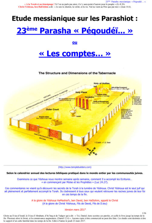 Étude sur la Parasha N°23 : Péqoudéï - Les Comptes