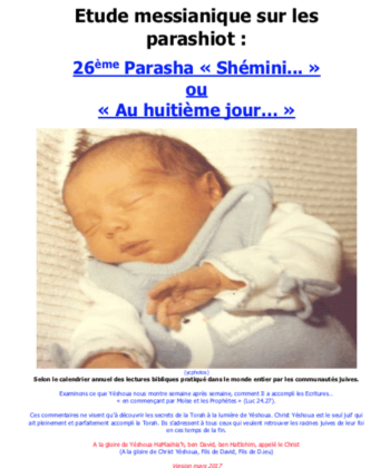 Étude sur la Parasha N°26 : Shémini – Au Huitième Jour