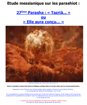 Étude sur la Parasha N°27 : Tarziâ – Elle aura conçu