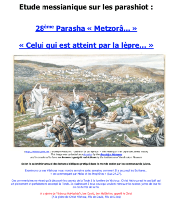 Étude sur la Parasha N°28 : Metzorâ – Celui Qui Est Atteint Par La Lèpre