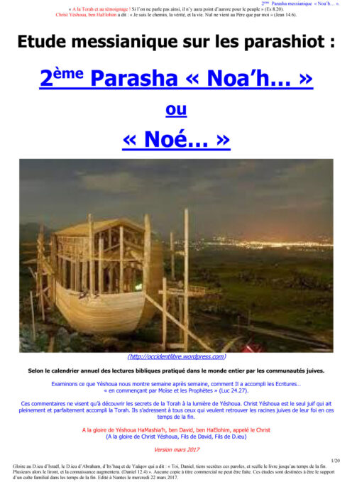 Étude sur la Parasha N°2 : Noa'h - Noé