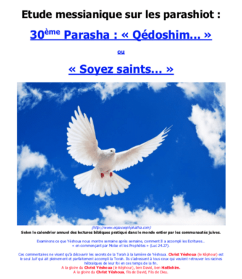 Étude sur la Parasha N°30 : Qédoshim –  Soyez Saints
