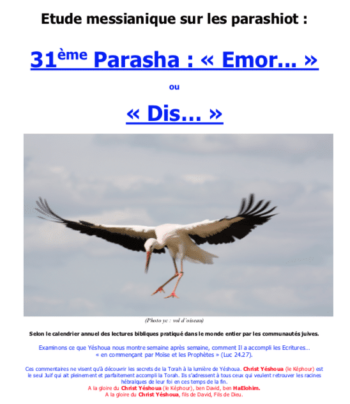 Étude sur la Parasha N°31 : Emor – Dis