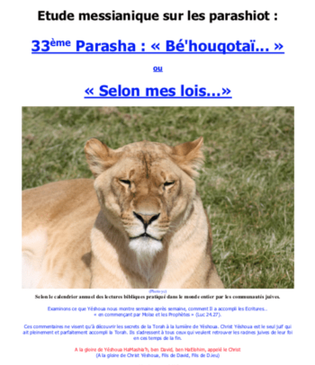 Étude sur la Parasha N°33 : Bé'houqotaï – Selon Mes Lois