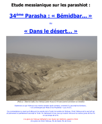 Étude sur la Parasha N°34 : Bémidbar – Dans Le Désert
