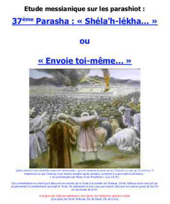 Étude sur la Parasha N°37 : Shéla'h - Lékh / Envoie toi-même