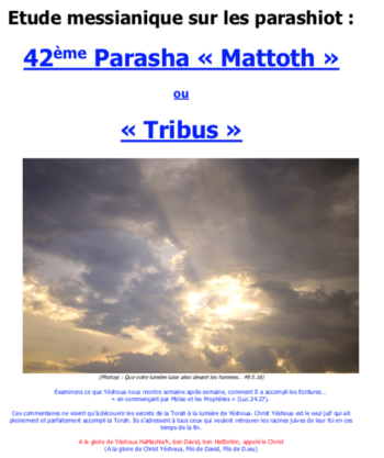 Étude sur la Parasha N°42 : Mattoth - Tribus