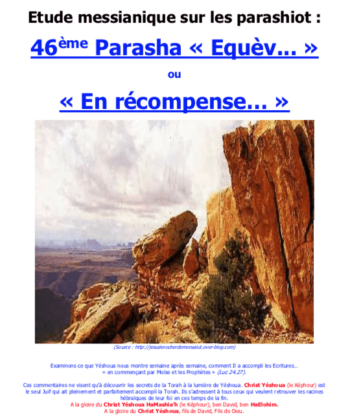 Étude sur la Parasha N°46 : Equèv - En récompense