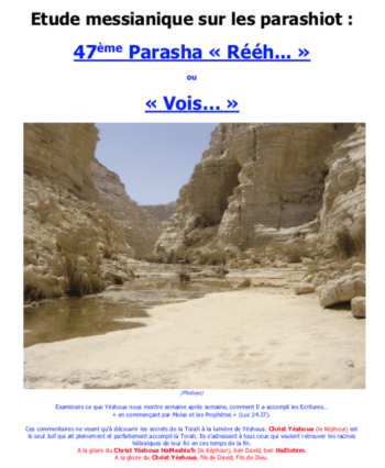 Étude sur la Parasha N°47 : Rééh - Vois