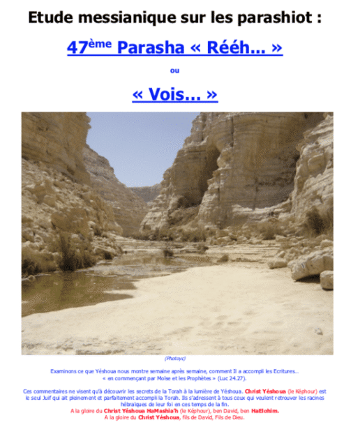 Étude sur la Parasha N°47 : Rééh - Vois