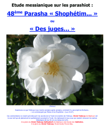 Étude sur la Parasha N°48 : Shophétim - Des Juges
