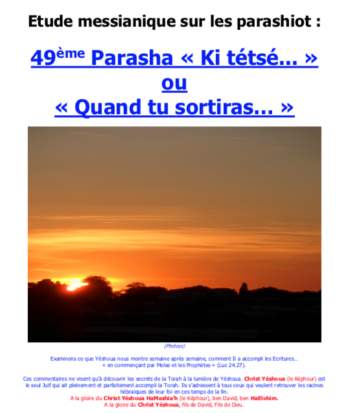 Étude sur la Parasha N°49 : Ki Tétsé - Quand Tu Sortiras