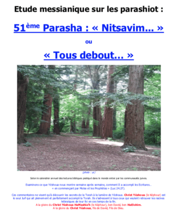 Étude sur la Parasha N°51 : Nitsavim - Tous Debout
