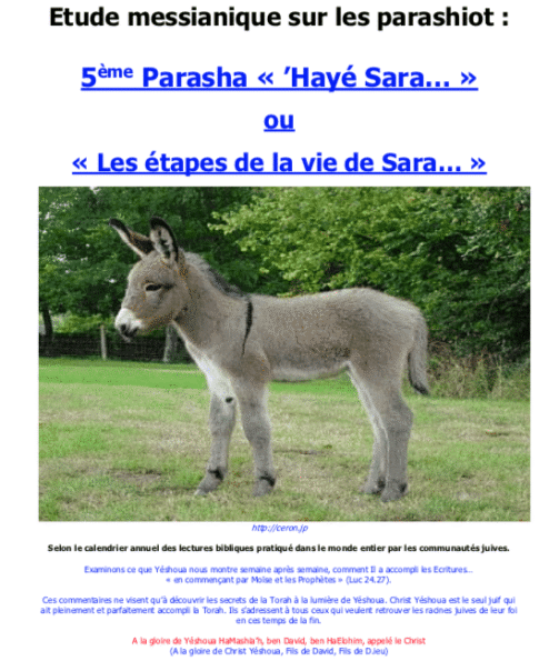Étude sur la Parasha N°5 : 'Hayé Sara - Les Vies De Sara