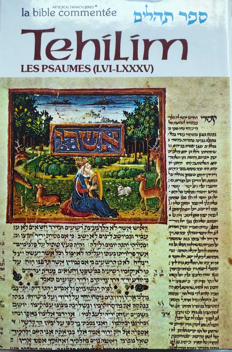 PSAUMES 56 A 85 - TEHILIM - La Bible Commentée