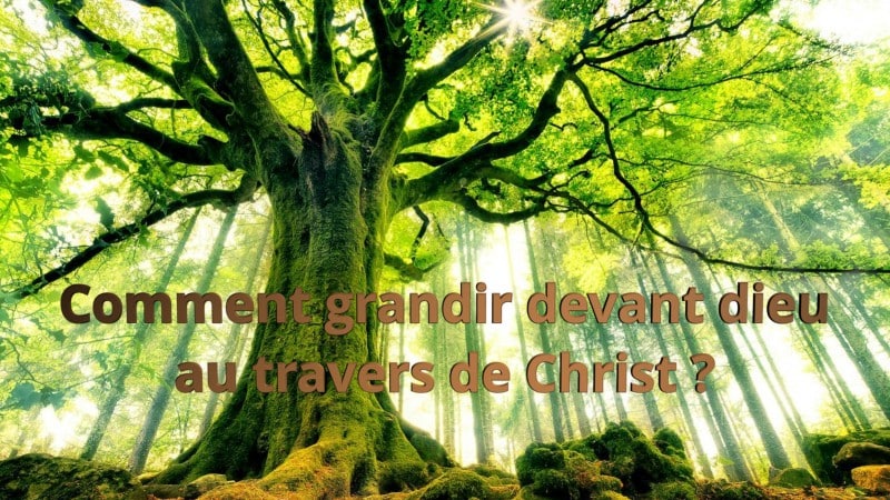 Comment grandir devant Dieu au travers de Christ ? – Sondernach (18 Vidéos)