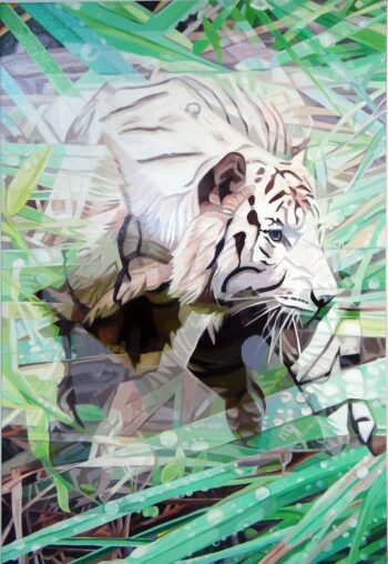 Le tigre blanc 100x70cm