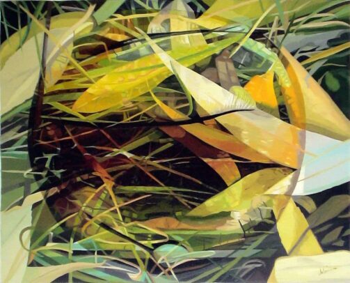 Mystères de la vie végétale 61/50cm
