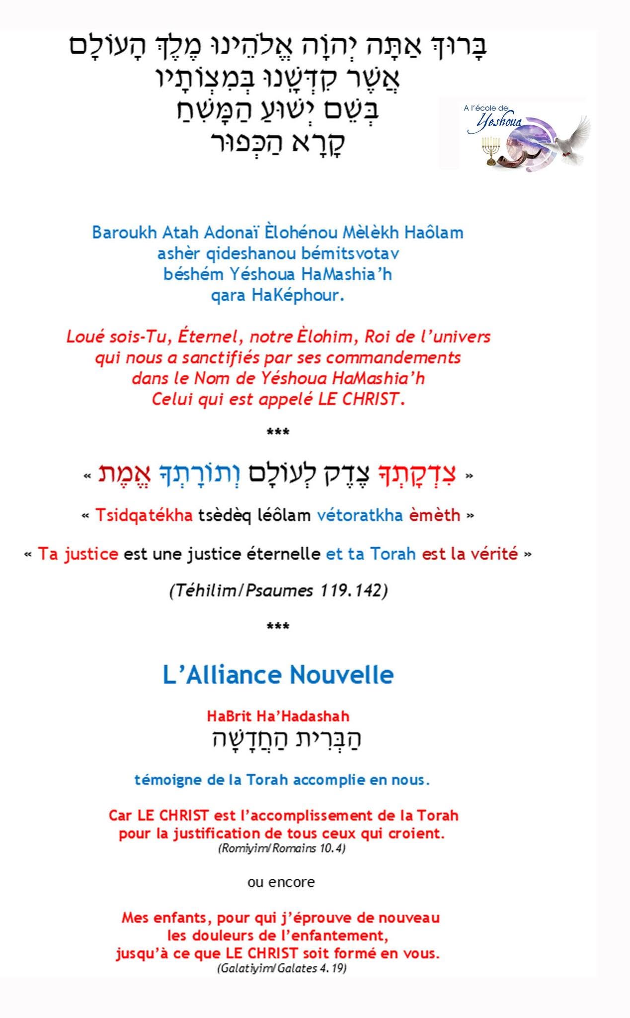 La Torah accomplie (Nouveau Testament Messianique version Mars 2021) – Image 5