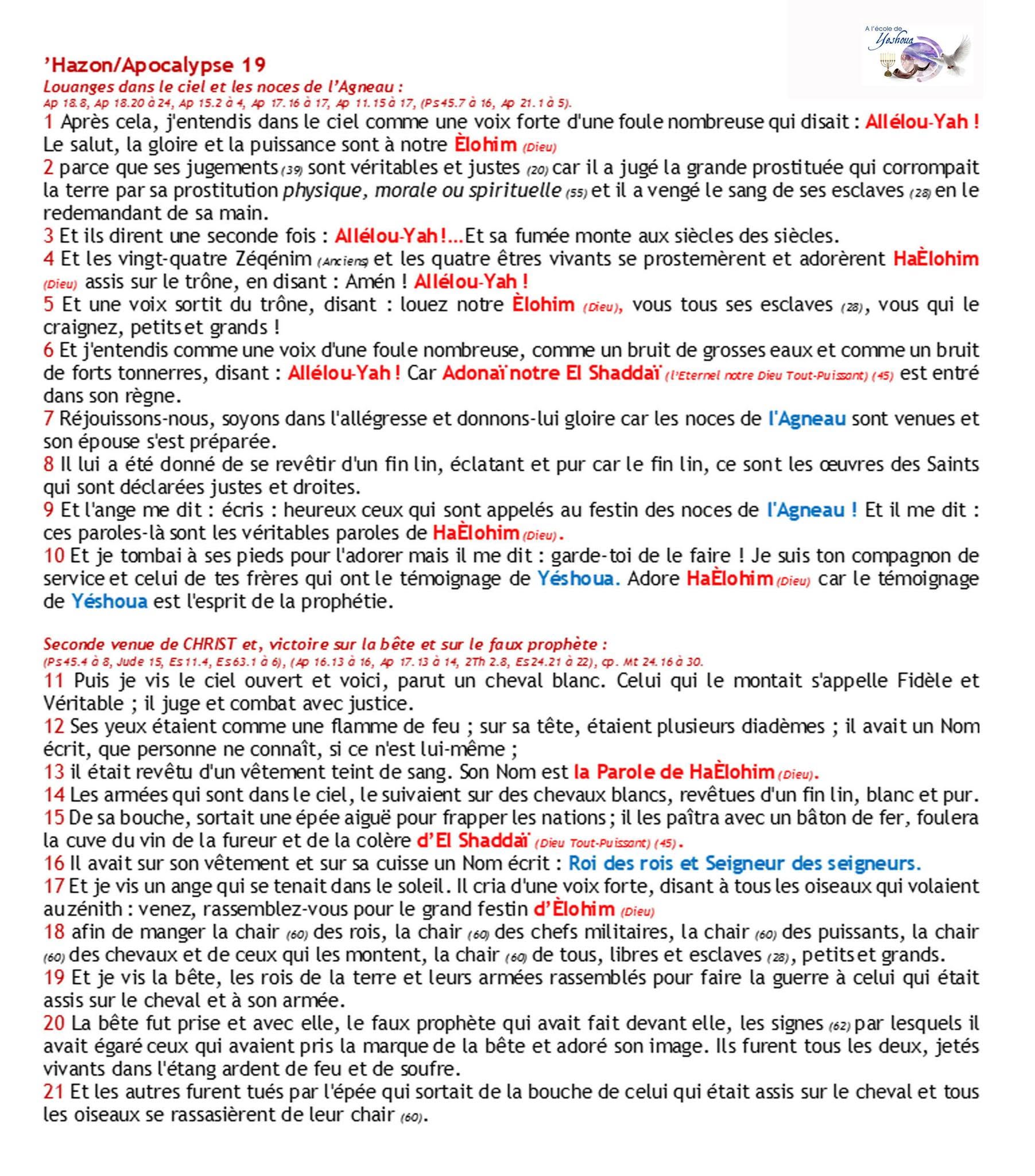La Torah accomplie (Nouveau Testament Messianique version Mars 2021) – Image 3