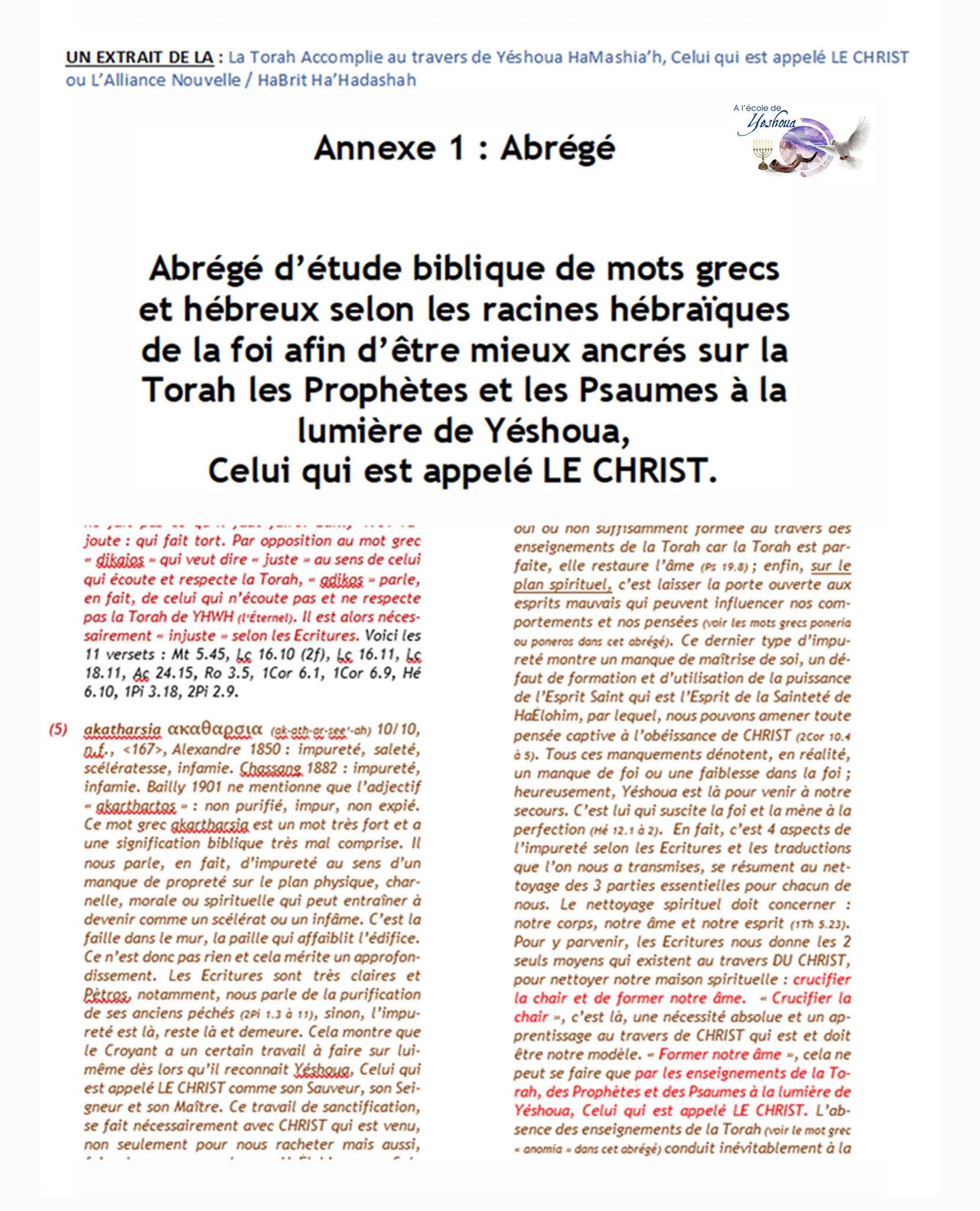 La Torah accomplie (Nouveau Testament Messianique version Mars 2021) – Image 4
