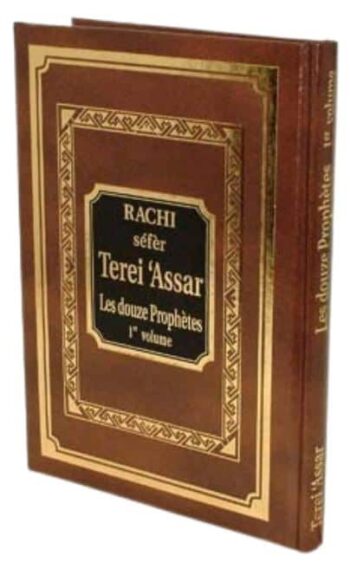 Rachi sefer Terei 'Assar  Les douze prophètes 1er vol